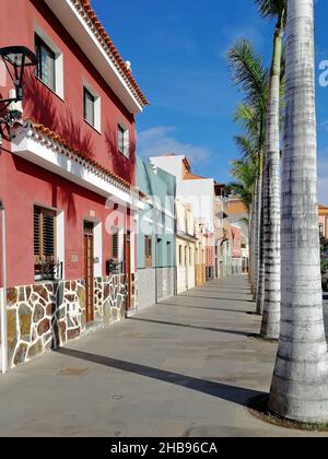 Bunte Häuser und eine gerade Reihe von Palmen in der Calle Mequinez in der Altstadt von Puerto de la Cruz, Teneriffa, Kanarische Inseln, Spanien Stockfoto