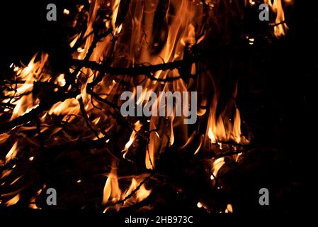 Nachts brennt ein Feuer. Feine Äste im Feuer. Das Feuer anzünden. Stockfoto