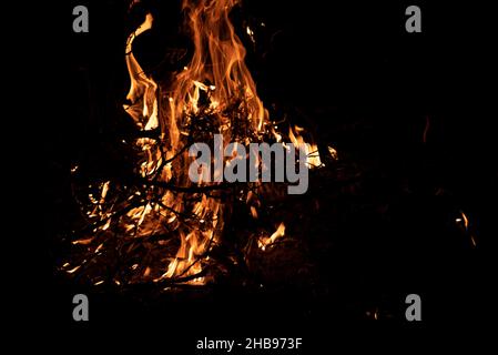 Nachts brennt ein Feuer. Feine Äste im Feuer. Das Feuer anzünden. Stockfoto