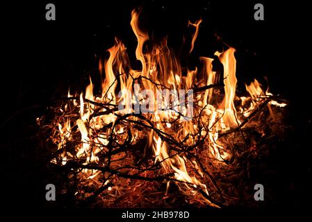 Nachts brennt ein Feuer. Feine Äste im Feuer. Das Feuer anzünden. Stockfoto