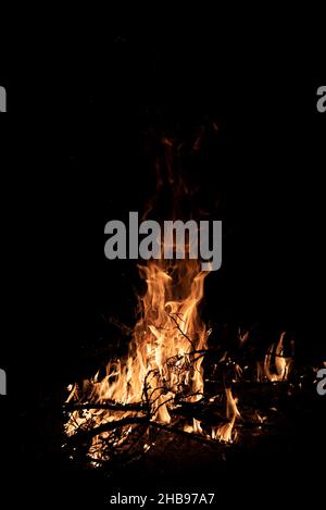 Nachts brennt ein Feuer. Feine Äste im Feuer. Das Feuer anzünden. Stockfoto