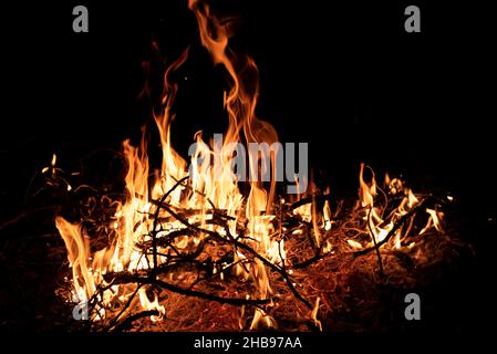 Nachts brennt ein Feuer. Feine Äste im Feuer. Das Feuer anzünden. Stockfoto