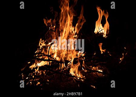 Nachts brennt ein Feuer. Feine Äste im Feuer. Das Feuer anzünden. Stockfoto