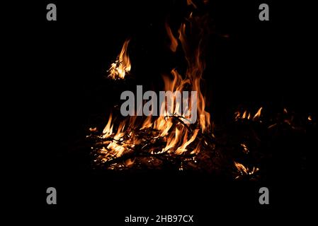 Nachts brennt ein Feuer. Feine Äste im Feuer. Das Feuer anzünden. Stockfoto