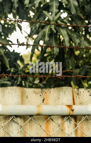Vertikale Nahaufnahme von Stacheldraht und einem rostigen Zaun in einem Park Stockfoto
