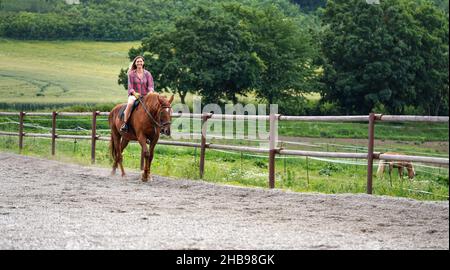 Junge Frau mit Hemd auf braunem Pferd im Sand-Paddock am Holzzaun Stockfoto