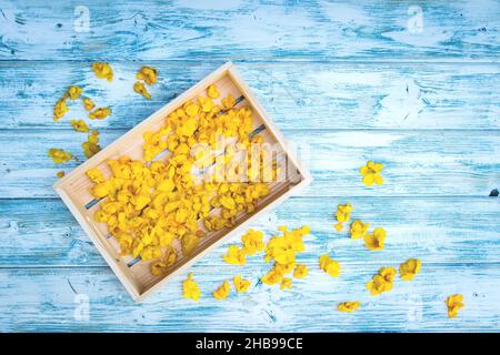 Trocknen von Verbascum-Blütenblättern auf dem Tisch. Gelbe Königskerze (verbascum densiflorum) in Holzkiste. Flaches Lay-Bild von Kräutern für die alternative Medizin Stockfoto