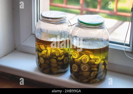 Zubereitung traditioneller hausgemachter Walnusslikör. Großes Glas mit grünen Walnüssen und Alkoholflüssigkeit hinter dem Fenster Stockfoto