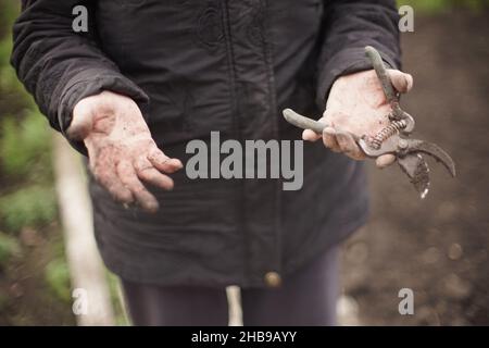 Nach der Arbeit im Garten in schmutzigen weiblichen Händen den Werkzeugschnitt schneiden. Gärtner ohne Handschuhe. Stockfoto