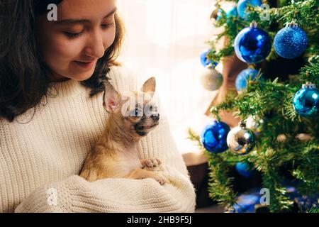 Weihnachts- und Neujahrskonzept, eine junge Frau mit ihrem Haustier in den Armen, ein wunderschöner Miniatur-chihuahua-Hund neben dem Weihnachtsbaum. Stockfoto