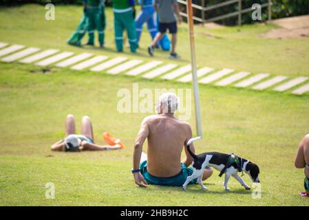 Menschen, die auf dem Gras sitzen und die Landschaft des Strandes Farol da Barra in Salvador, Bahia, Brasilien, genießen. Stockfoto