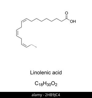 Linolensäure, chemische Formel. Alpha-Linolensäure, ALA. Omega-3 essentielle Fettsäure. Samenöle sind die reichsten Quellen von ALA. Stockfoto