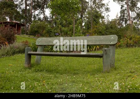 Rustikale leere Bank mitten im Gras, schöner Park mit Bäumen und Natur am Tag, Lifestyle und Outdoor-Dekoration, alter Sitz Stockfoto