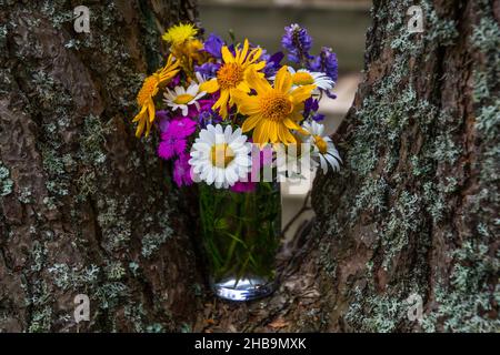 Nahaufnahme eines Straußes von Wiesenblumen in einer Vase auf einem Baumstamm Stockfoto