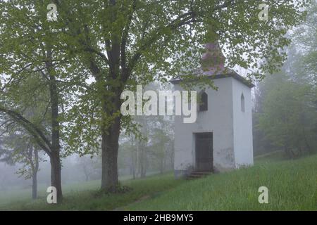 Historischer Glockenturm im Dorf Jasenovo, Slowakei. Stockfoto