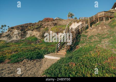 Zugang zum Strand. Klippen am Strand, einheimische Pflanzen, Palmen und klarer blauer Himmel im Hintergrund Stockfoto