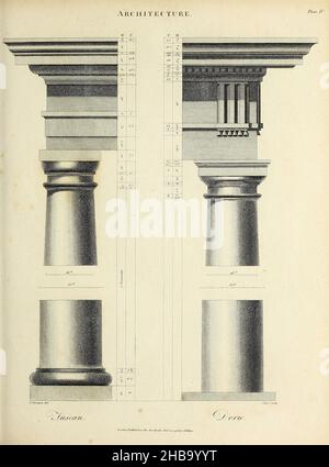 Illustration eines toskanischen Ordens (links) und eines dorischen Ordens (rechts). Kupferstich aus der Encyclopedia Londinensis, oder, Universal Dictionary of Arts, Sciences and Literature; Band II. Herausgegeben von John Wilkes. Veröffentlicht 1810 in London, Großbritannien. Stockfoto