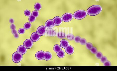 Leuconostoc-Bakterien, Computerdarstellung. Es handelt sich dabei um grampositive, kokkoide, chemoorganoheterotrophe, fakultativ anaerobe Bakterien (Prokaryotes) Stockfoto