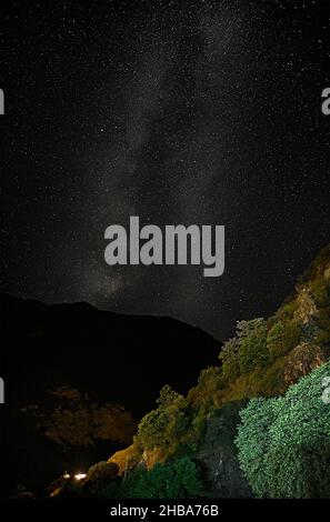 Eine Waldschrubberszene, die sich in der tiefen Nacht unter unzähligen Sternen und dem Milchstraßenzügel auf einen Hügel im Hintergrund erhebt. Stockfoto