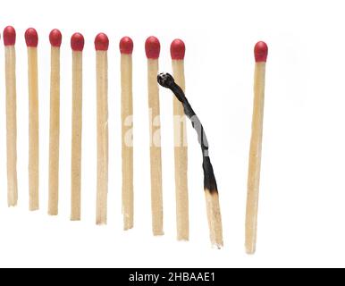 Nahaufnahme von Streichhölzern in einer geraden Reihe mit einem verbrannten Streichholz, das sich anders verhält als das Konzept für Burnout, isoliert auf weißem Hintergrund Stockfoto