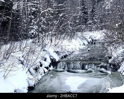 Winterlandschaft mit schneebedeckten Ästen. Der Bach, der in der Mitte fließt, ist teilweise gefroren und es gibt eine Schicht aus Schnee und Eis. Stockfoto