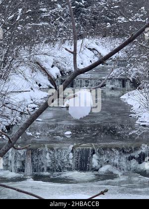 Winterlandschaft mit schneebedeckten Ästen. Der Bach, der in der Mitte fließt, ist teilweise gefroren und es gibt eine Schicht aus Schnee und Eis. Stockfoto