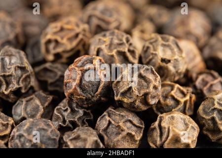 Makro von echten essbaren Gewürzen und Samen: Schwarzer Pfeffermais auf einem Haufen. (Schwarzer Pfeffer - Piper nigrum) Stockfoto