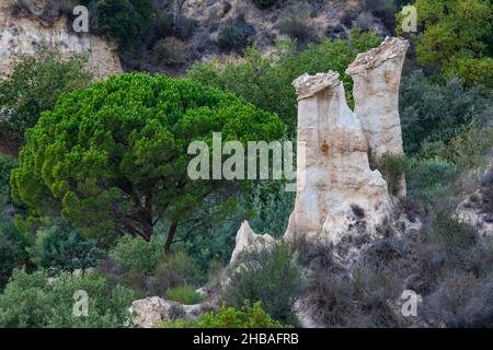 Les Orgues Ille sur Tet, geologischer Standort in den Pyrenäen Orientales, Languedoc Roussillon, Frankreich Stockfoto