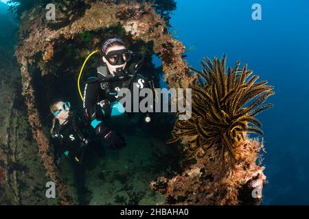 Scuba Diver erkunden Stern von Maldive Victory Wreck, Hulhule, Nord Male Atoll, Malediven Stockfoto