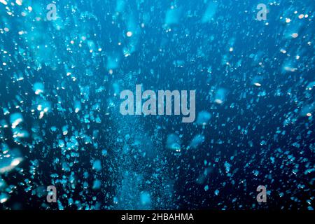 Steigende Luftblasen, Felidhu Atoll, Indischer Ozean, Malediven Stockfoto