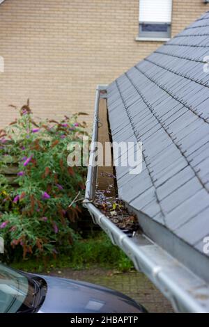 Ein Porträt einer Dachrinne voller Wasser, weil sie durch kleine Äste und abgefallene Blätter aufgrund der Herbst- oder Herbstsaison verstopft ist. Eine jährliche Wartung Stockfoto