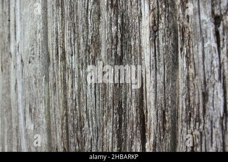 Altes rustikales verwittertes Holz, einfacher und einfacher Zaun. Stockfoto