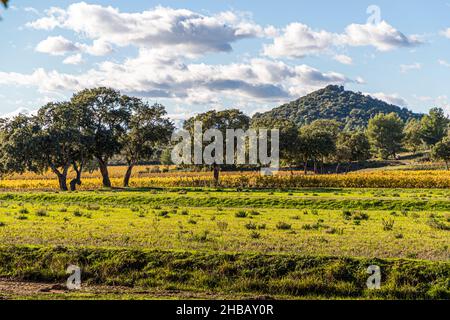 La Londe-les-Maures, Frankreich Stockfoto