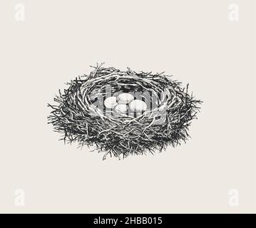 Vögel Nest mit Eiern handgezeichnete Vektor-Illustration Stock Vektor