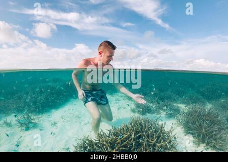 Mann bewundert Korallen unter der Wasseroberfläche. Touristen beobachten wunderschöne Meeresleben auf den Malediven. Stockfoto