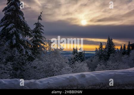 Frostiger Sonnenaufgang auf dem Berg Vitosha, Sofia, Bulgarien - wunderschöne Winterlandschaft - erste Sonnenstrahlen über Neuschnee. Stockfoto