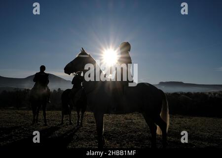 Melrose, Großbritannien. 18th Dez 2021. Die Lauderdale Foxhounds treffen sich am Samstag, den 18. Dezember 2021, im Pavillon bei Melrose. Lauderdale FH, Master and Huntsman, Mrs. Claire Bellamy MFH ( Quelle: Rob Gray/Alamy Live News Stockfoto