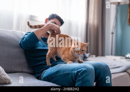 Ein junger Mann, der auf einem grauen Sofa sitzt, streichelt den Rücken einer braunen gestromten Katze Stockfoto