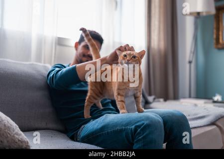 Ein junger Mann, der auf einem grauen Sofa sitzt, streichelt den Kopf einer braunen gestromten Katze Stockfoto