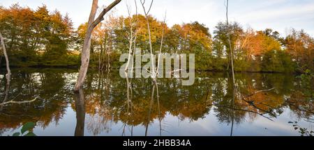 Etang de Gaillères Stockfoto