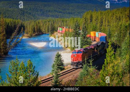 Zug, der durch Morant's Curve im Bow Valley, Kanada, fährt Stockfoto