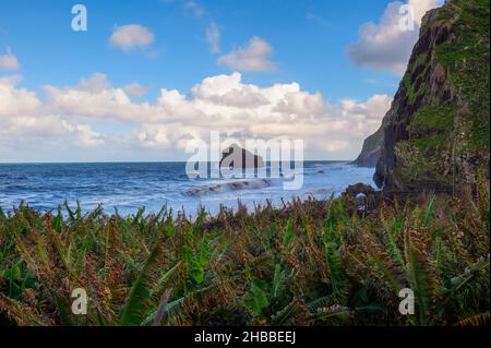 Küste und Klippen in der Nähe von Santana auf den Madeira-Inseln, Portugal Stockfoto