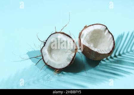 Minimalistisches tropisches Stillleben. Zwei Hälften gehackte Kokosnuss mit Schatten von Palmblättern auf blauem Hintergrund. Kreatives Modekonzept. Stockfoto