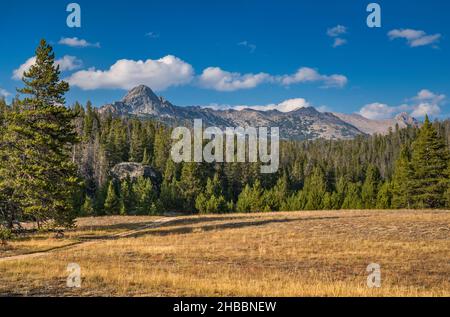 Big Sandy Lake Trail, Wind River Range, Bridger Teton National Forest, Wyoming, USA Stockfoto