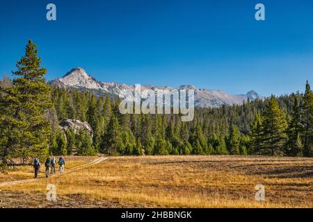 Wanderer auf dem Big Sandy Lake Trail, der Wind River Range, dem Bridger Teton National Forest, Wyoming, USA Stockfoto