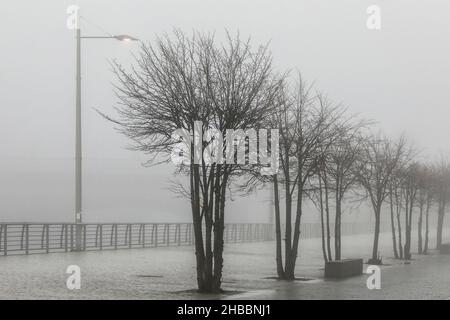 Glasgow, Großbritannien. 18th Dez 2021. Am frühen Morgen wurden Pendler von einem frostigen Nebel verwöhnt, der eine surreale Landschaft über dem Fluss Clyde und seinen Brücken, insbesondere der Tradeston Bridge (auch bekannt als die Squinty Bridge) und der Portland Suspension Bridge, schuf. Kredit: Findlay/Alamy Live Nachrichten Stockfoto