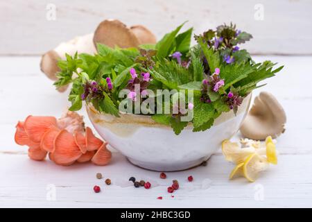 Schüssel mit frischen Wildkräutern und Pilzen Stockfoto