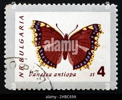 BULGARIEN - UM 1962: Eine in Bulgarien gedruckte Briefmarke zeigt Trauermantel, Vanessa Antiopa, Schmetterling, um 1962 Stockfoto