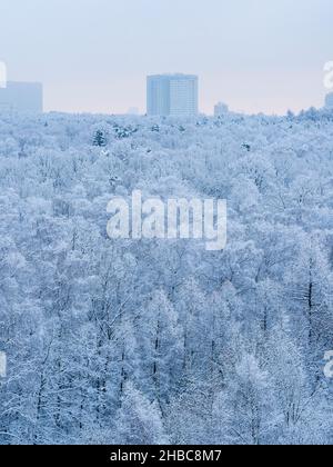 Blick über den verschneiten Wald und das Hochhaus am Horizont in der blauen, kalten Winterdämmerung Stockfoto