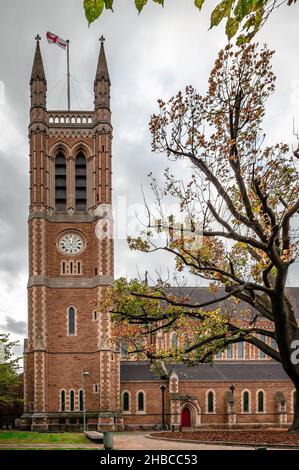Der Turm von St. Paul's Hammersmith und die alte Eiche im Kirchhof. Saint Paul's Green, Hammersmith, London, England. Stockfoto
